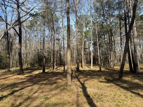 67 Bighorn Road