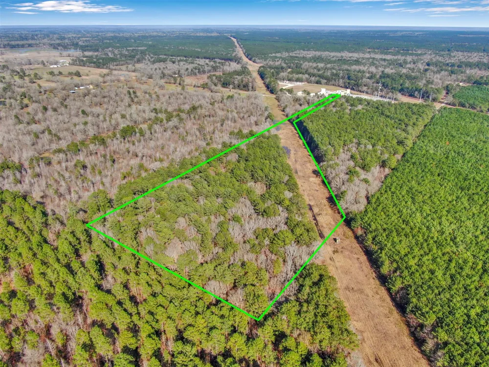 Pelican Road Shepherd, TX 77371