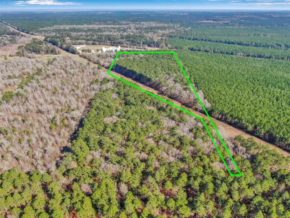Pelican Road Shepherd, TX 77371