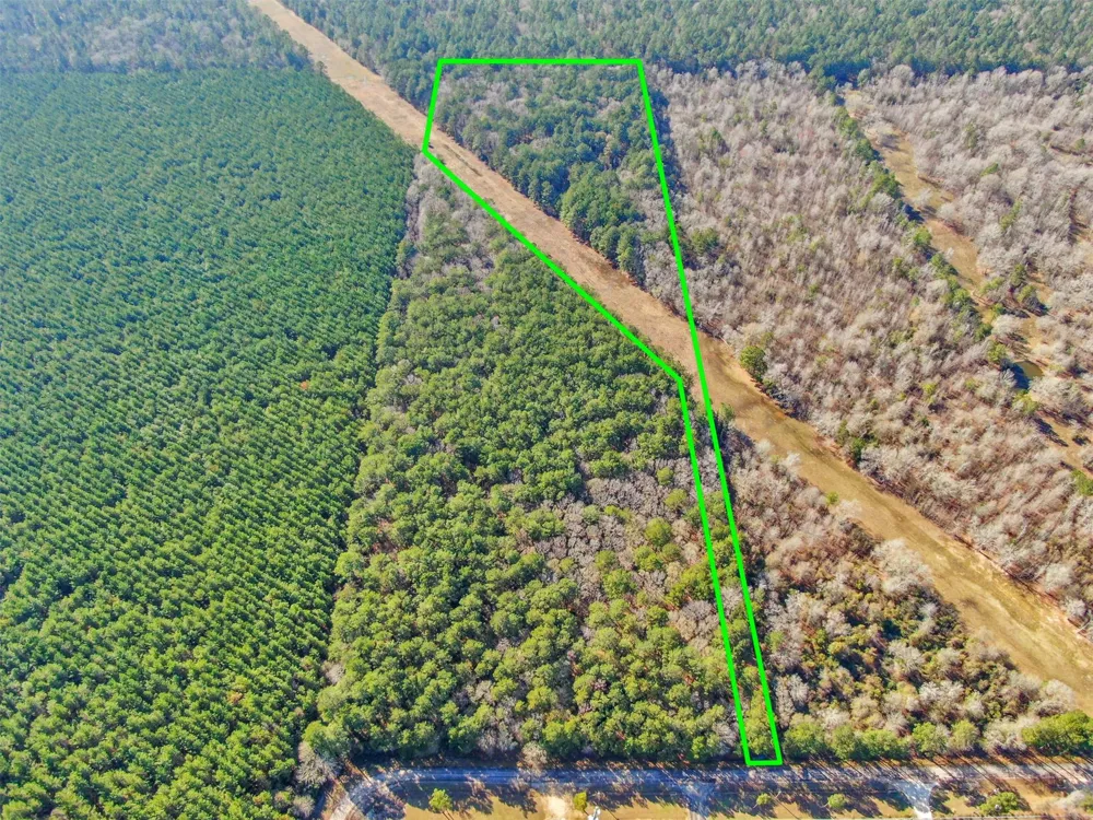 Pelican Road Shepherd, TX 77371
