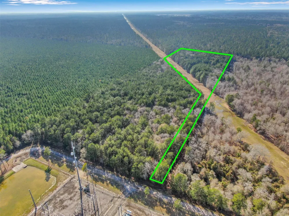 Pelican Road Shepherd, TX 77371