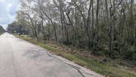 19910 County Road 684a