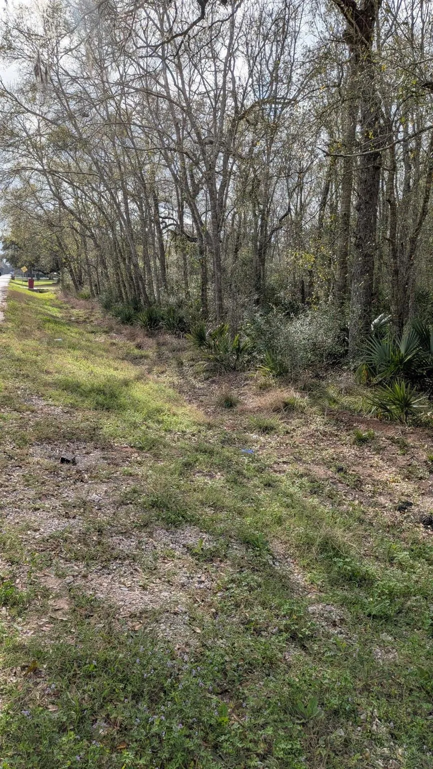 19910 County Road 684a Sweeny, TX 77480