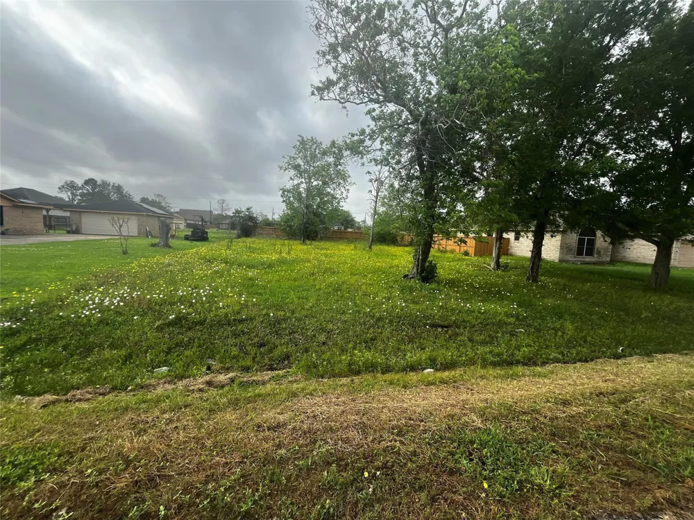 302 Manor Avenue Arcola, TX 77583