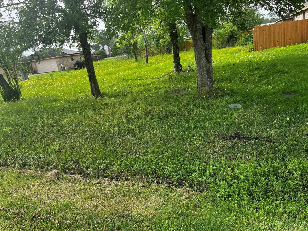 302 Manor Avenue Arcola, TX 77583