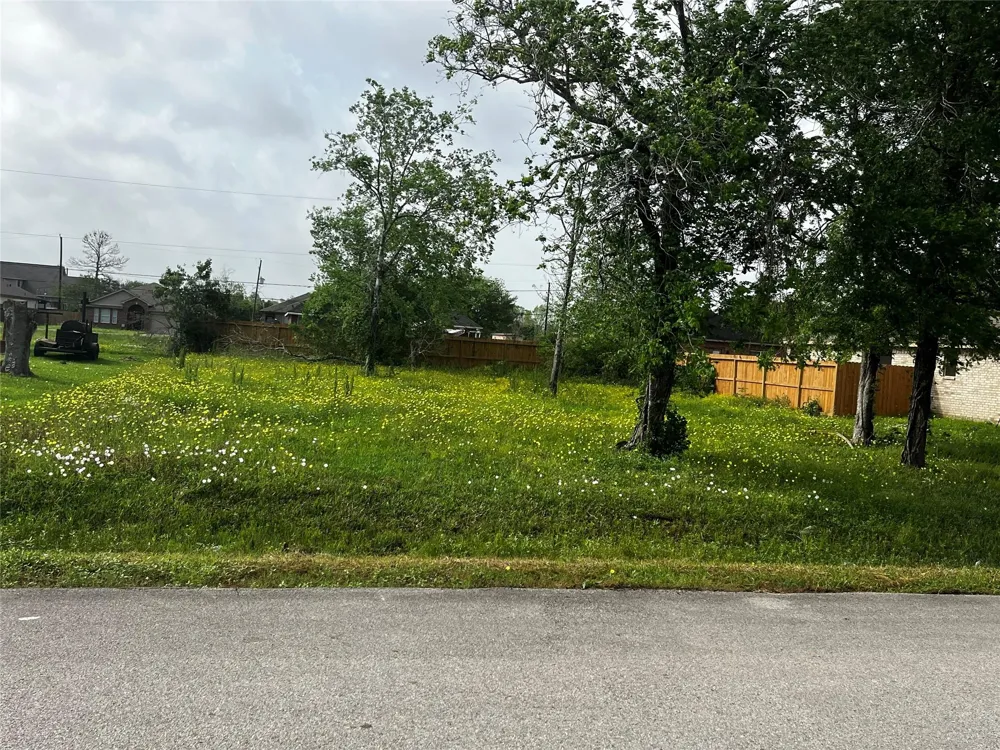 302 Manor Avenue Arcola, TX 77583