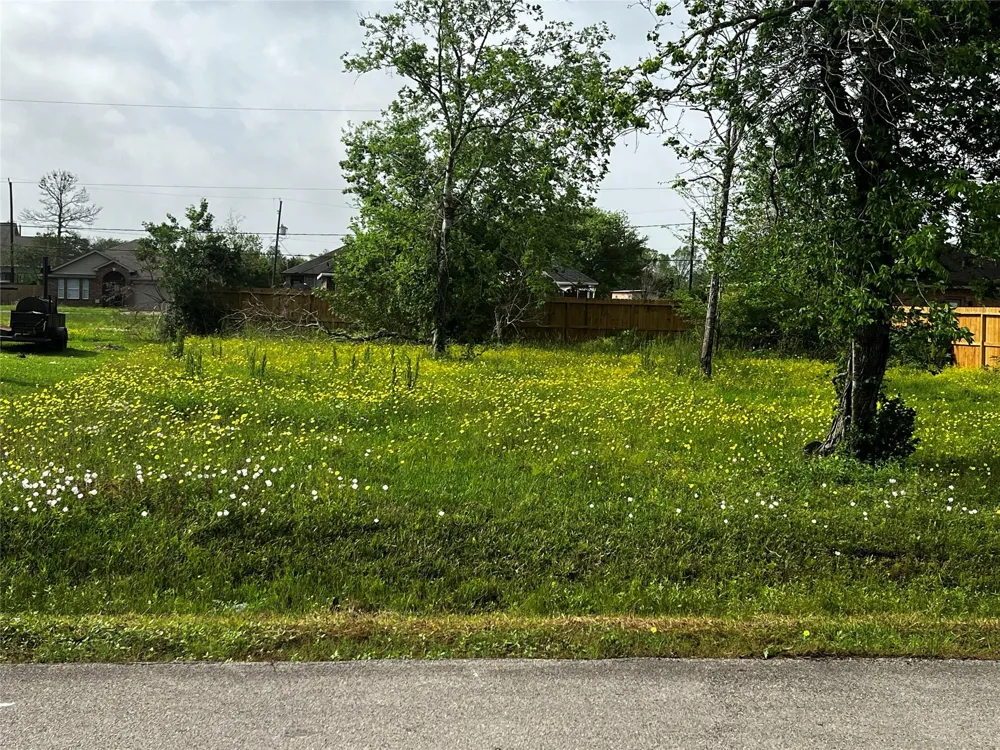 302 Manor Avenue Arcola, TX 77583