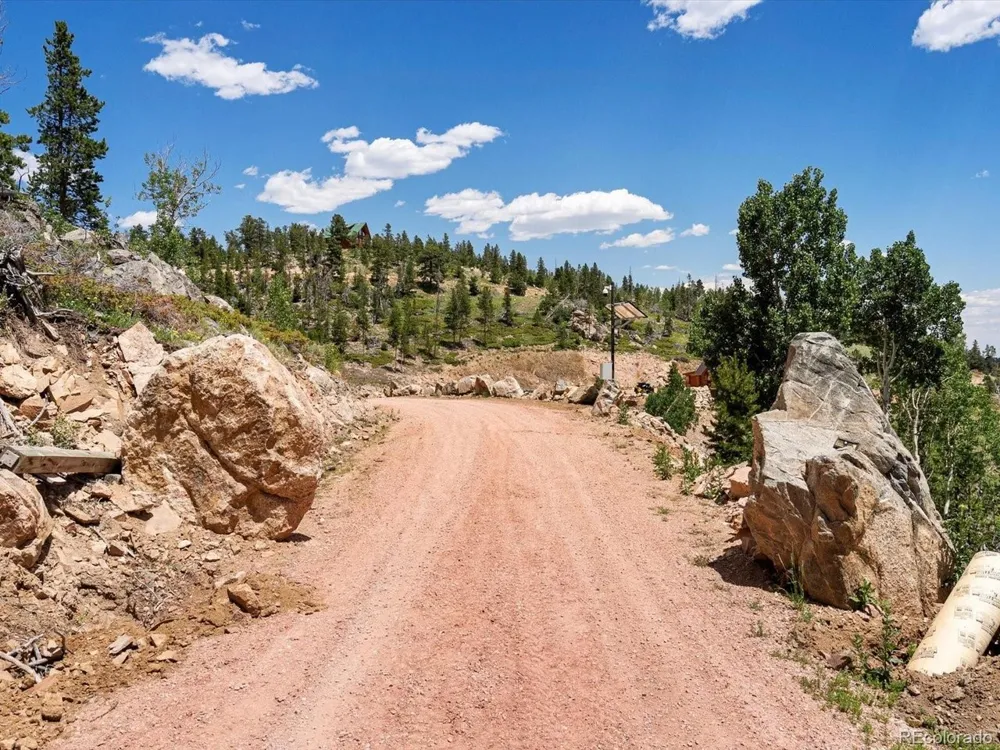 224 Six Elk Court Red Feather Lakes, CO 80545