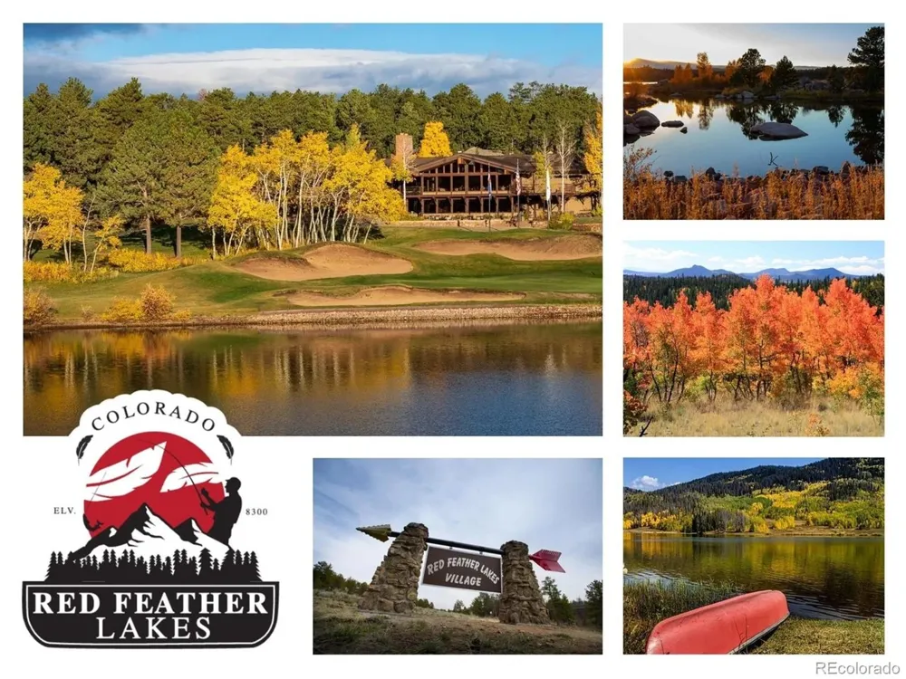 224 Six Elk Court Red Feather Lakes, CO 80545
