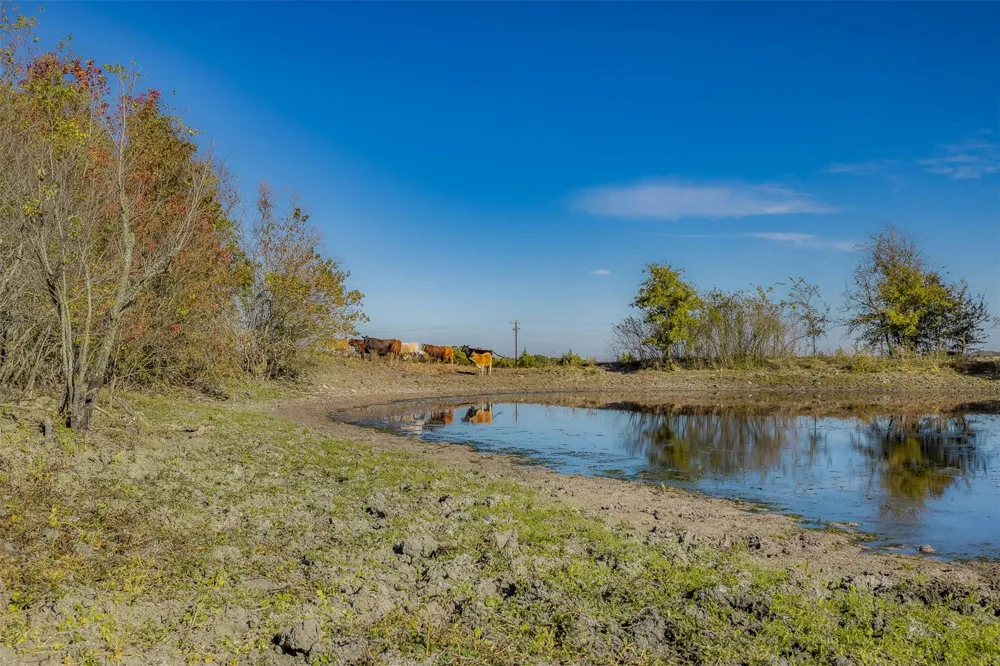 4435 Hartfield Road Round Top, TX 78954