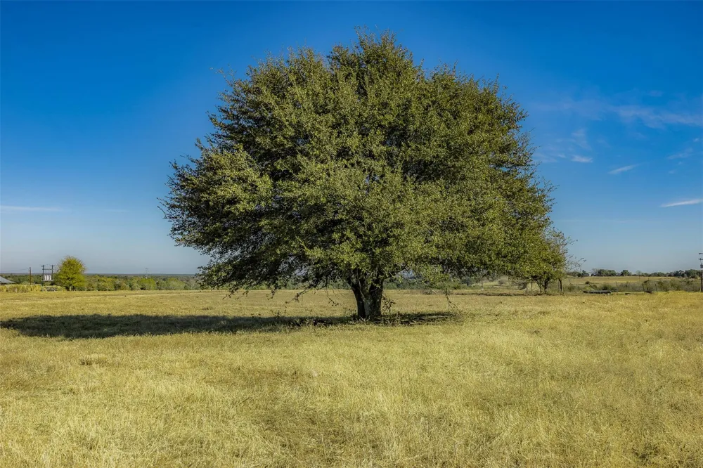 4435 Hartfield Road Round Top, TX 78954