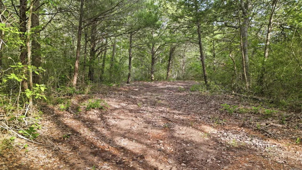 1165 Cr 213 Tract 2 Weimar, TX 78962
