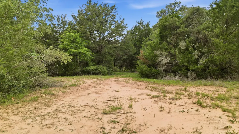 1165 Cr 213 Tract 2 Weimar, TX 78962