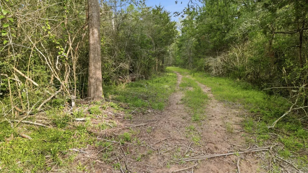 1165 Cr 213 Tract 2 Weimar, TX 78962