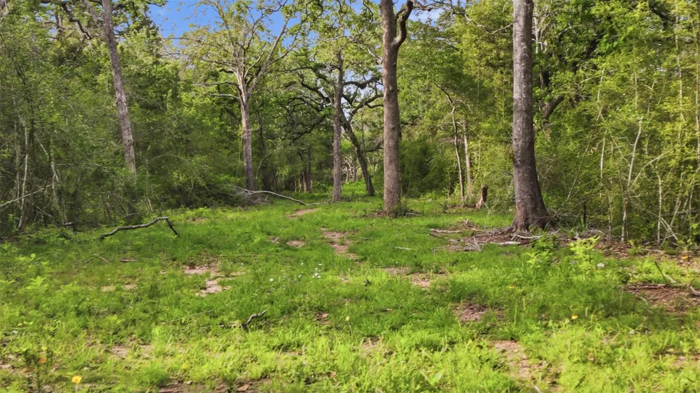 1165 Cr 213 Tract 2 Weimar, TX 78962