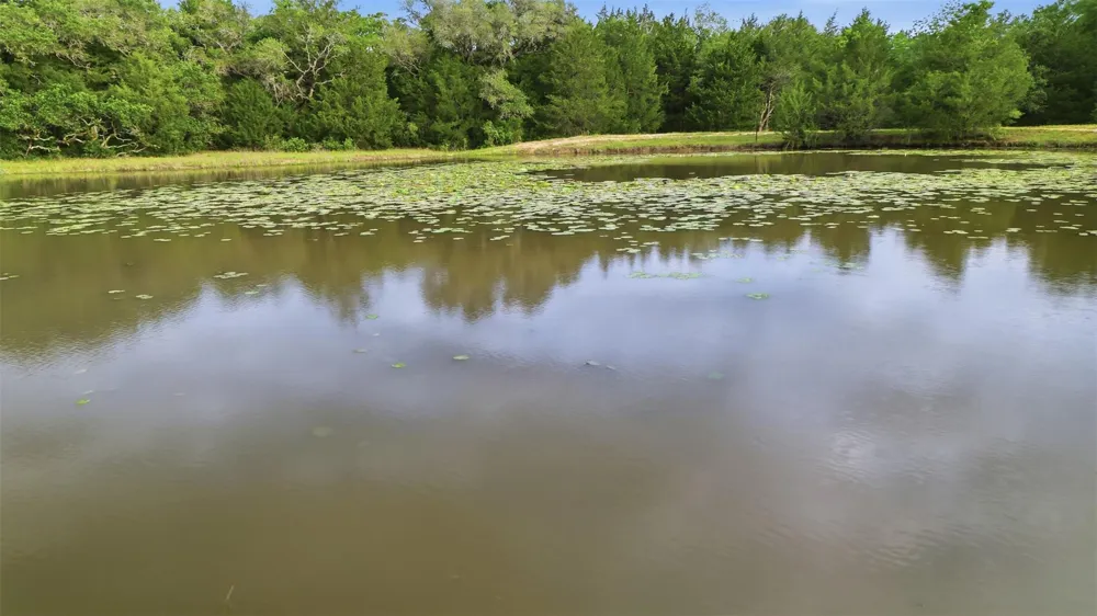 1165 Cr 213 Tract 2 Weimar, TX 78962