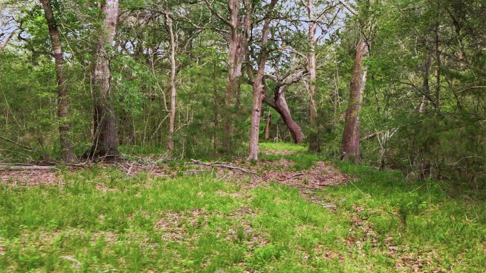 1165 Cr 213 Tract 2 Weimar, TX 78962