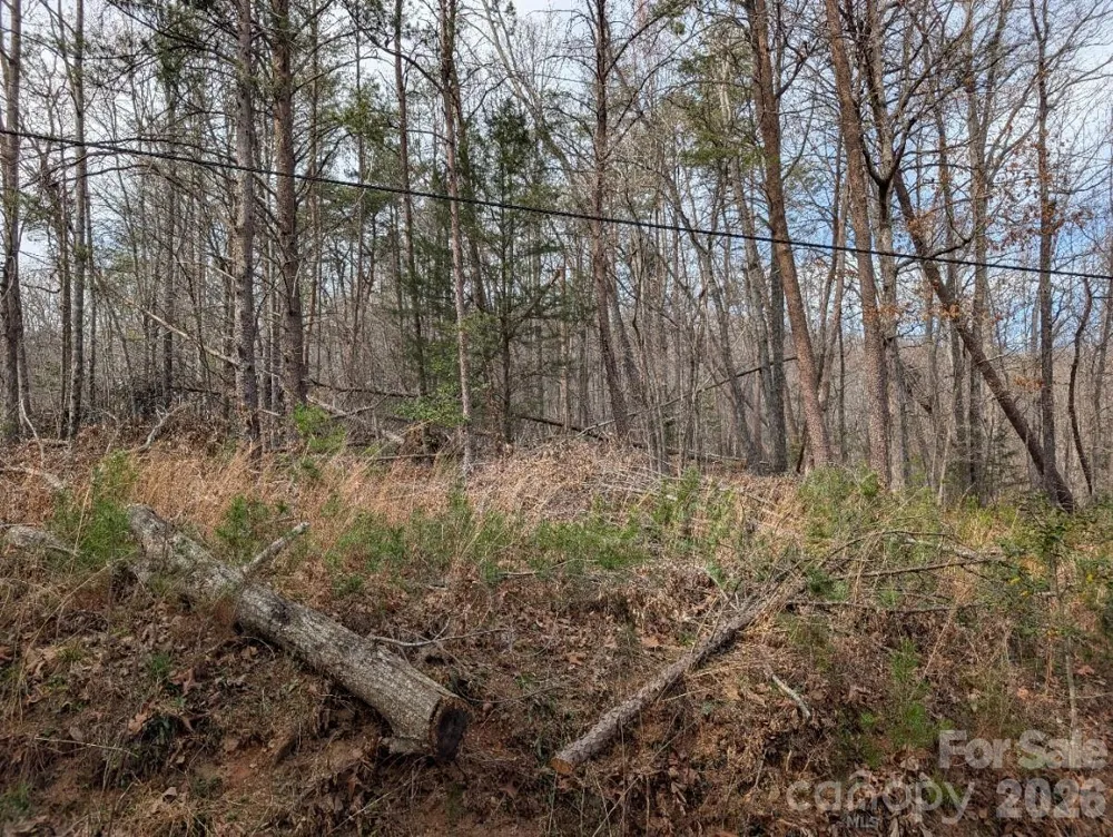 4960 Singleton Drive Morganton, NC 28655