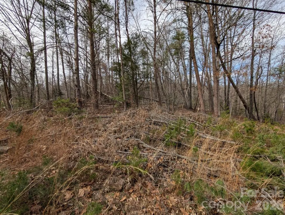 4960 Singleton Drive Morganton, NC 28655