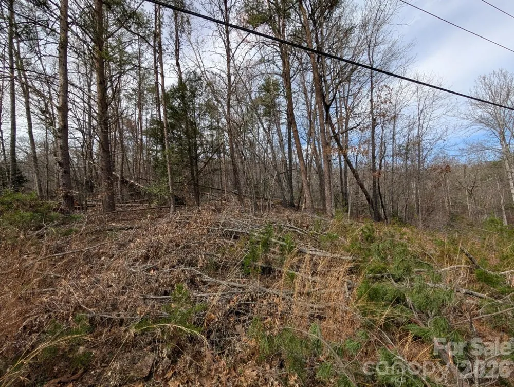4960 Singleton Drive Morganton, NC 28655