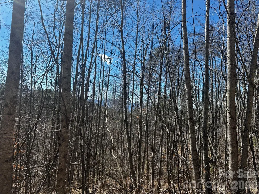 00 Grace Ridge Road Bakersville, NC 28705