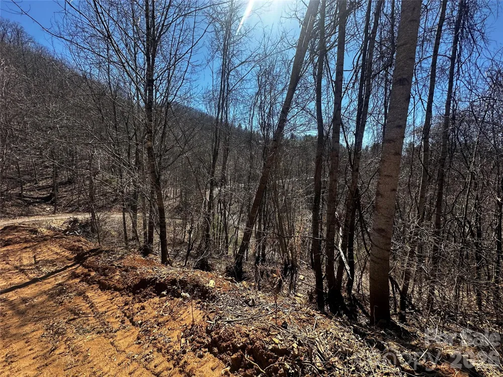 00 Grace Ridge Road Bakersville, NC 28705