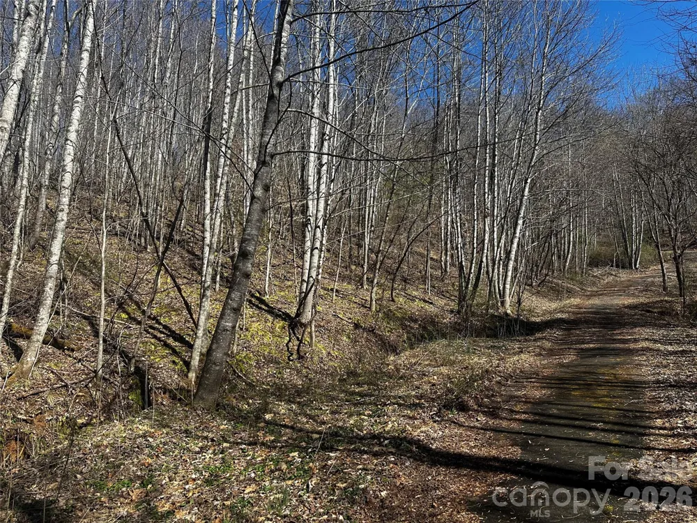 00 Grace Ridge Road Bakersville, NC 28705