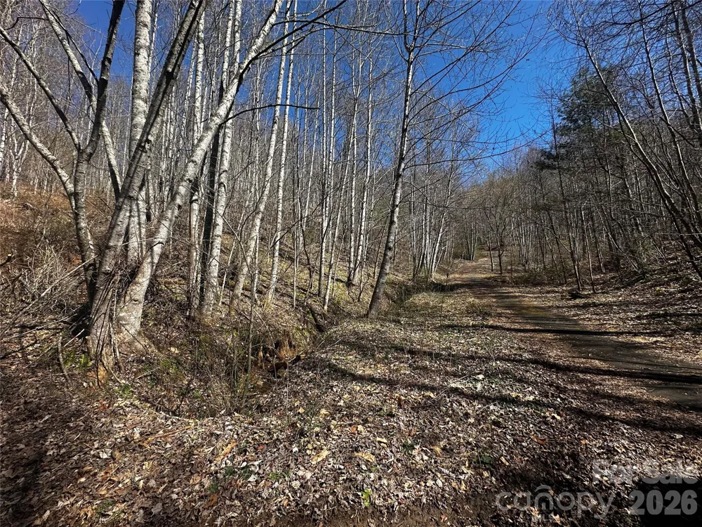 00 Grace Ridge Road Bakersville, NC 28705