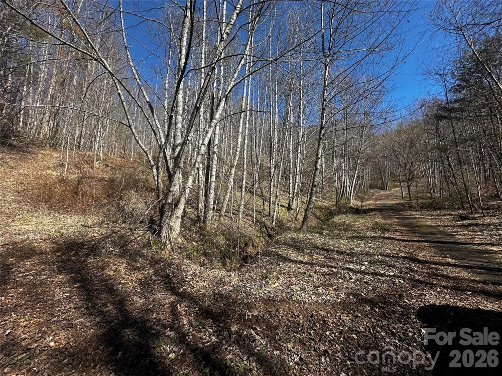 00 Grace Ridge Road Bakersville, NC 28705