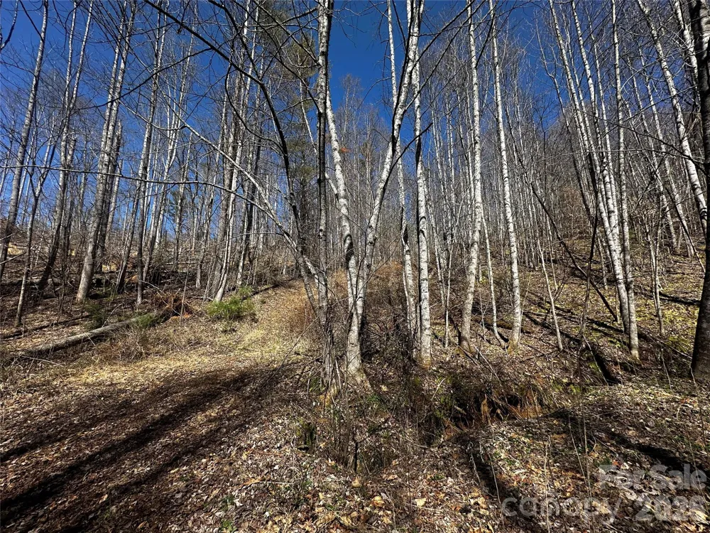 00 Grace Ridge Road Bakersville, NC 28705