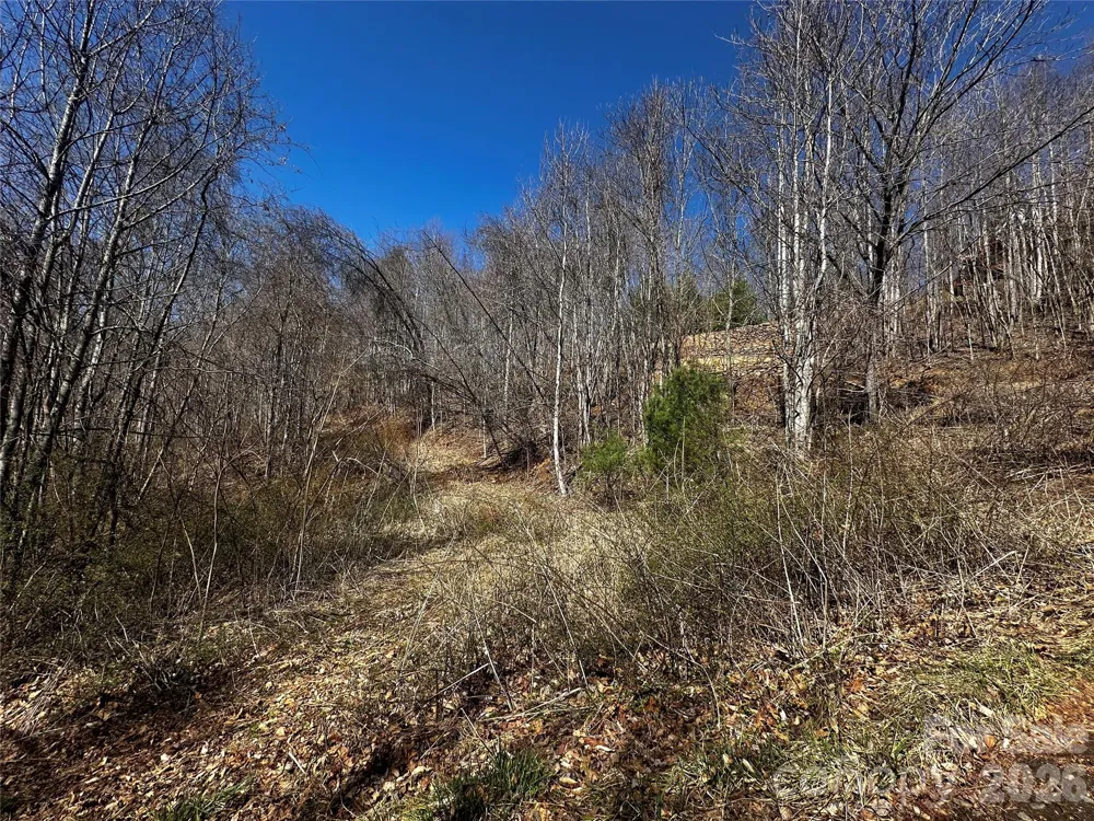 00 Grace Ridge Road Bakersville, NC 28705