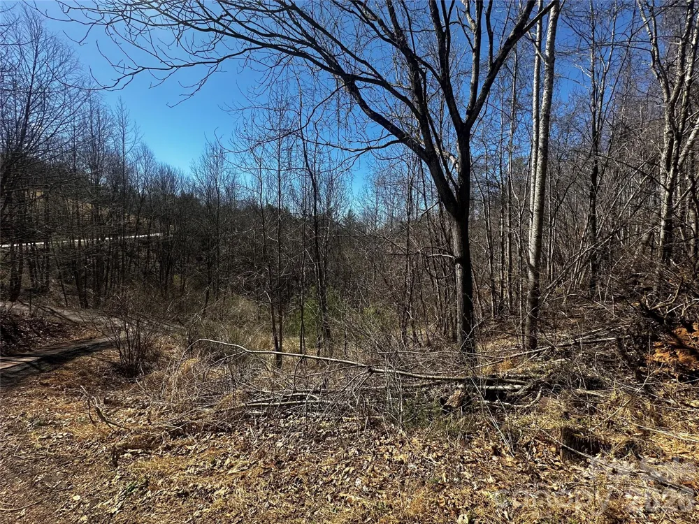 00 Grace Ridge Road Bakersville, NC 28705