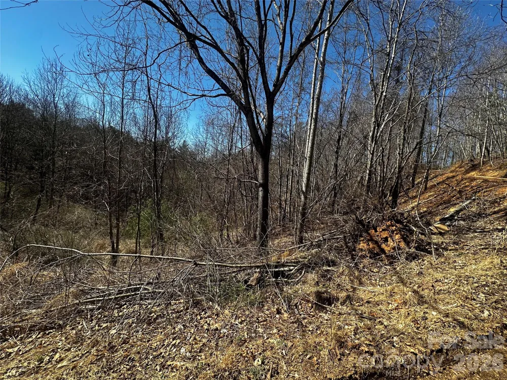 00 Grace Ridge Road Bakersville, NC 28705