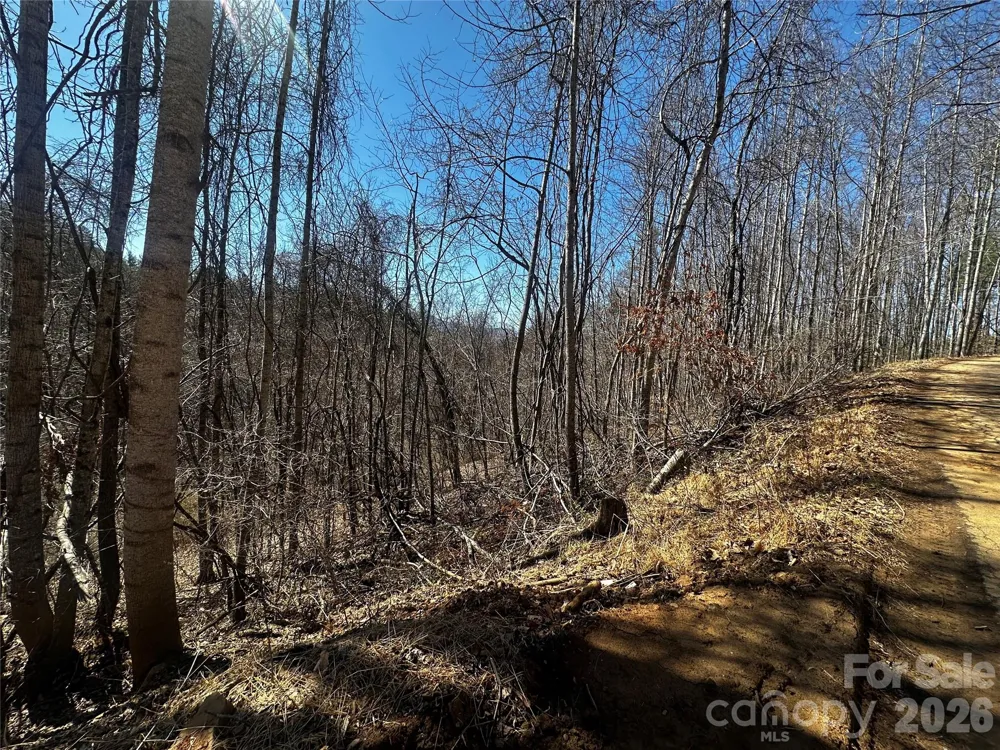 00 Grace Ridge Road Bakersville, NC 28705