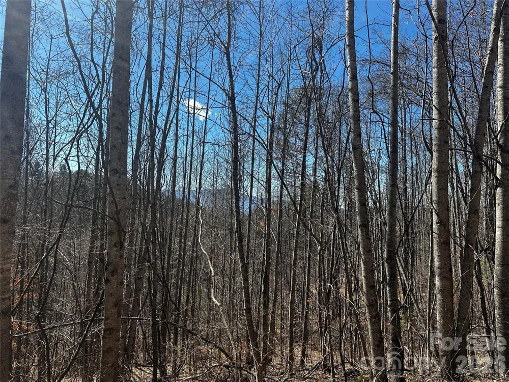 00 Grace Ridge Road Bakersville, NC 28705