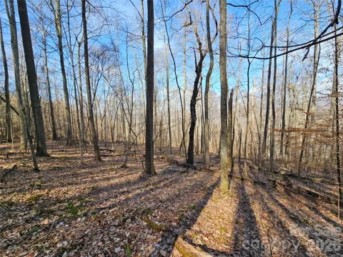 00 Red Wolf Run Road #E-7
