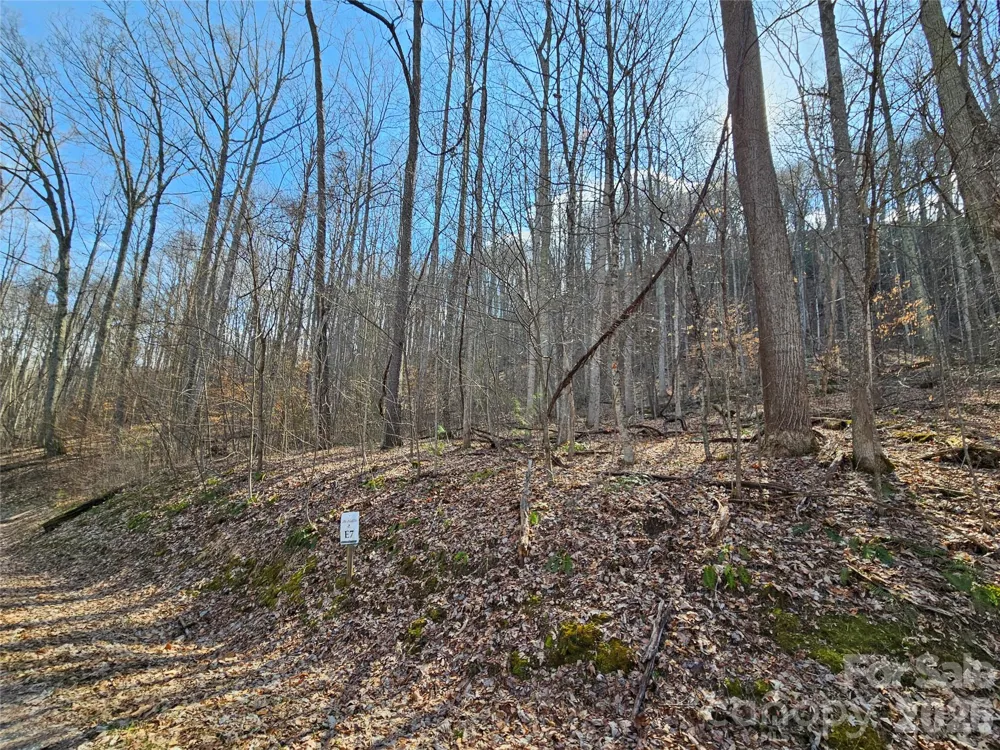 00 Red Wolf Run Road #E-7 Mars Hill, NC 28754