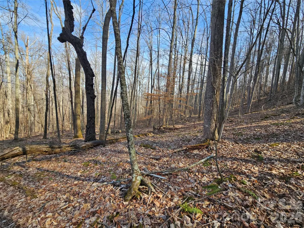 00 Red Wolf Run Road #E-7 Mars Hill, NC 28754