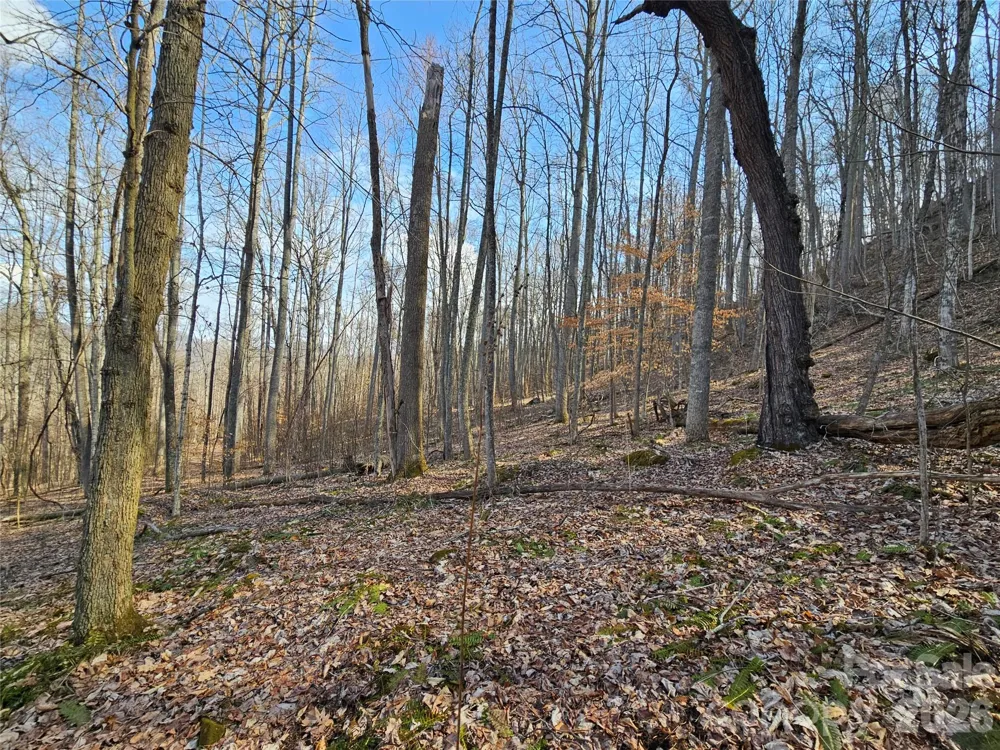 00 Red Wolf Run Road #E-7 Mars Hill, NC 28754