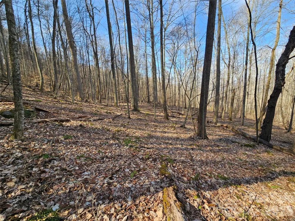 00 Red Wolf Run Road #E-7 Mars Hill, NC 28754