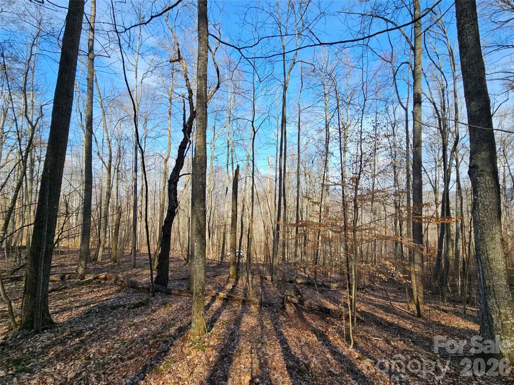 00 Red Wolf Run Road #E-7 Mars Hill, NC 28754