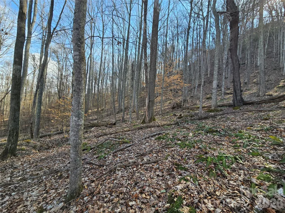 00 Red Wolf Run Road #E-7 Mars Hill, NC 28754