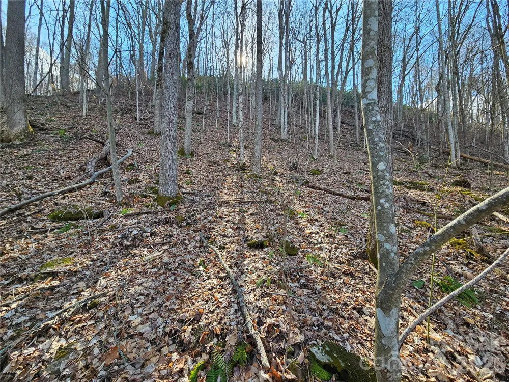 00 Red Wolf Run Road #E-7 Mars Hill, NC 28754