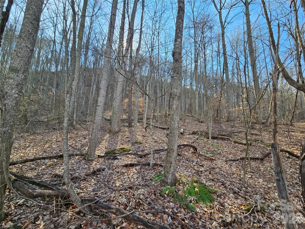 00 Red Wolf Run Road #E-7 Mars Hill, NC 28754