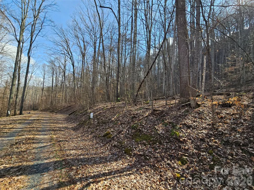 00 Red Wolf Run Road #E-7 Mars Hill, NC 28754