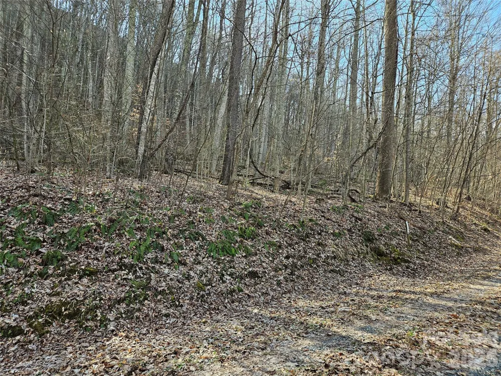 00 Red Wolf Run Road #E-7 Mars Hill, NC 28754