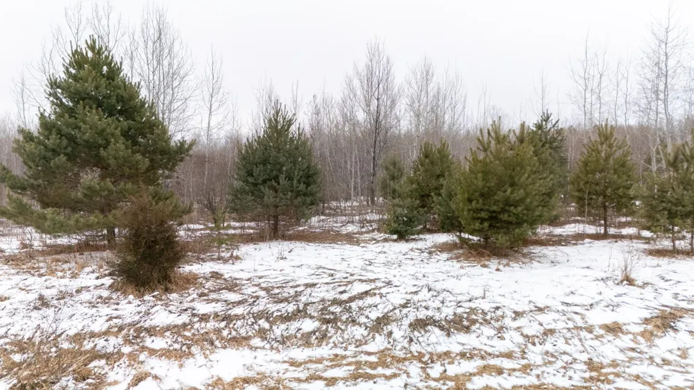 000 State Hwy 70 Pine City, MN 55063