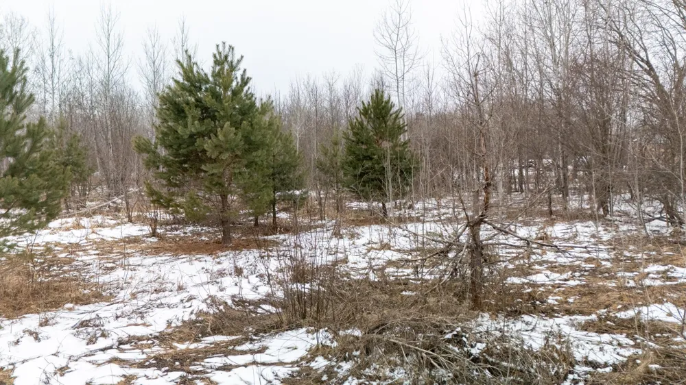 000 State Hwy 70 Pine City, MN 55063