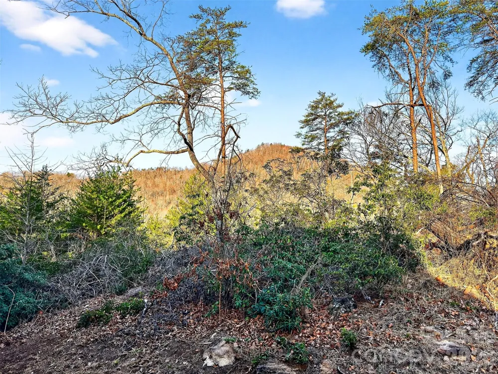345 Lower Switchback Road Union Mills, NC 28167
