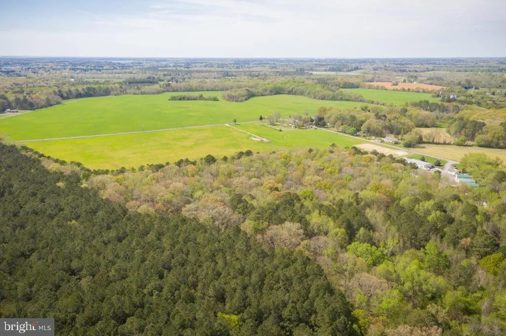 4502 OLD TRAPPE ROAD Trappe, MD 21673